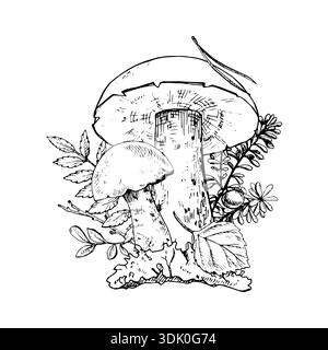 Botanische Komposition des Taigawaldes. Handgezogene Pilze, Blätter, Beeren und Moos. Gut geeignet für botanische Drucke, Verpackungen, Tätowierungen, Etiketten, Bücher Stock Vektor