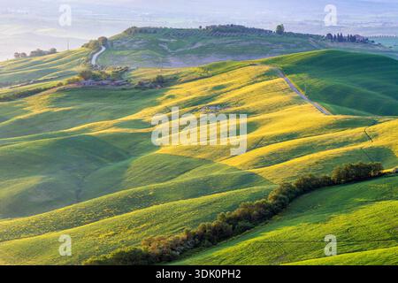 Rollende Landschaft mit einer unbefestigten Straße und den Schatten im Morgenlicht Stockfoto