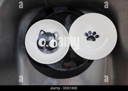 Draufsicht auf Katzen- und Hundeschüsseln während der Reinigung in einer Küche, die einen realistischen Moment der Haustierpflege feststellt. Stockfoto