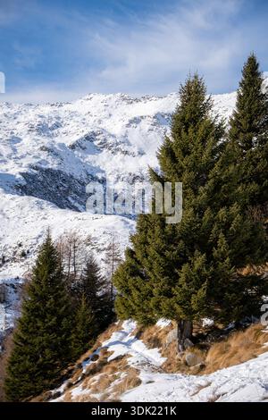 Schneebedeckte Berge mit immergrünen Bäumen unter blauem Himmel im Winter, malerische Landschaft in den italienischen Alpen. Stockfoto