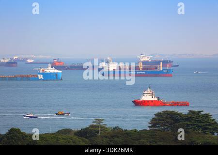 SINGAPUR CITY, SINGAPUR - 11. MÄRZ 2024: Frachtschiffe der Cosco Shipping und anderer Unternehmen warten auf die Einfahrt in den Hafen von Singapur. Stockfoto