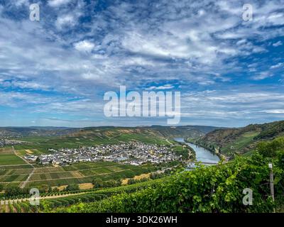 Moselschleife bei Leiwen/Trittenheim: Weinberge mit Blick auf Fluss und Weinorte Stockfoto