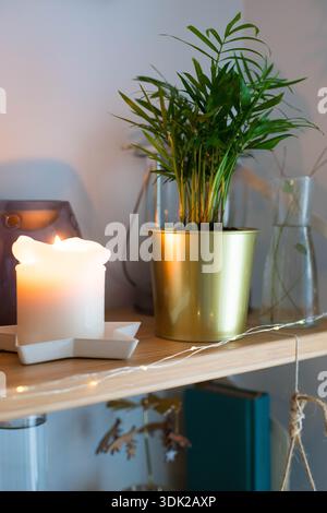 Eine Pflanze von Chamaedorea elegans oder Parlour Palm in einem goldenen Topf auf einem Holzregal in der Nähe einer brennenden Kerze. Vertikale Aufnahme. Stockfoto
