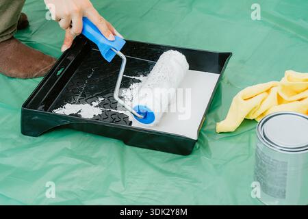 Nahaufnahme der Rolle, die weiße Farbe von der Schale während der Vorbereitung der Wandmalerei in der Wohnung, beim Bau, bei der Hausverbesserung absorbiert Stockfoto