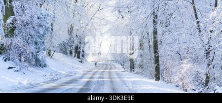Winterlandschaft mit schneebedeckten Bäumen und Straße. Stockfoto
