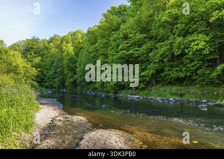 Lausitzer Neisse im Kloster St. Marienthal in Ostritz, Sachsen Stockfoto