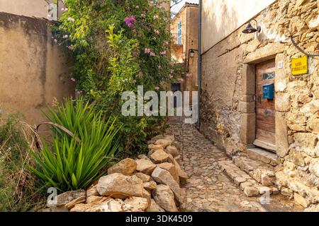 Enge Gassen in den Künstlern' Dorf Pigna, Balagne, Korsika, Frankreich Stockfoto