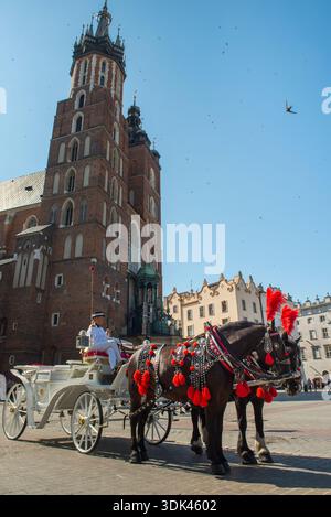 Eine Pferdekutsche vor der Marienkirche auf dem Hauptmarkt (Rynek Glowny) in der Altstadt, Krakau, Provinz Malopolska Stockfoto