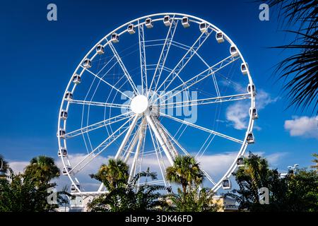 Ein weißes Riesenrad durchquert den unglaublich tiefen blauen Himmel über Panama City Beach. In der hellen Sonne Floridas dreht es sich langsam, ein stiller Gesandter Stockfoto