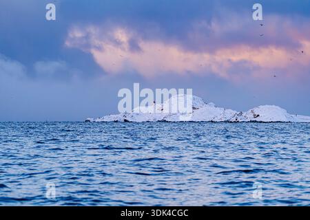 Norwegen, Fylke Troms, Skjervøy, Kvænangen, Insel Spildra, Leuchtturm Stockfoto