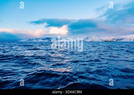 Norwegen, Fylke Troms, Skjervøy, Kvænangen, Boote, Orcas Stockfoto