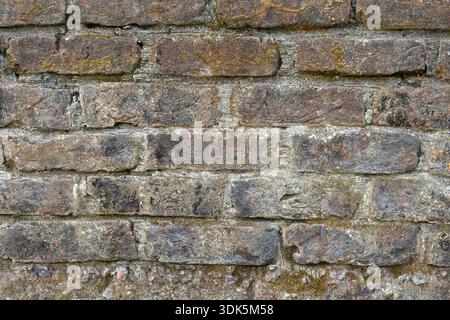 Hochauflösende rustikale Wandstruktur mit grünem Naturmoos und verwitterten Oberflächen. Dieser gruselige Hintergrund aus Vintage-Mauerwerk ist perfekt Stockfoto