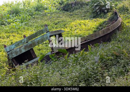 Ein verlassenes altes Holzboot, das mit wildem Grün bewachsen ist. Dieses verfallene türkisfarbene Ruderboot ruht in üppiger Natur und repräsentiert Konzepte der Veralterung Stockfoto