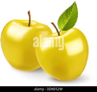 Eine minimalistische und auffällige Illustration auf weißem Hintergrund mit zwei bezaubernden Golden Delicious Äpfeln. Ein stilisiertes grünes Blatt, das an einem DE befestigt ist Stock Vektor