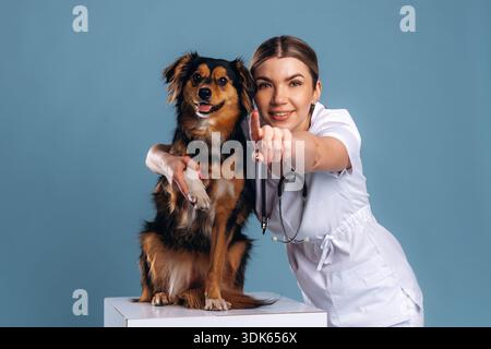Tierärztin ist mit Mischhund. Stockfoto
