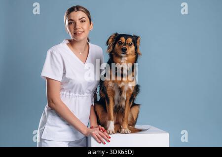 Tierärztin ist mit Mischhund. Stockfoto