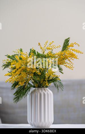 Mimosa-Blüten, die in leuchtenden Gelbtönen platzen, elegant in einer stilvollen weißen Keramikvase angeordnet sind, sorgen für eine fröhliche und frische Frühlingsdarstellung auf einem Tisch Stockfoto