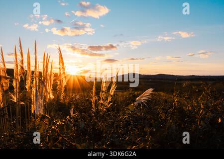 Winter Sonnenuntergang über Ackerland und sanfte Landschaft auf der Isle of Wight, England, Großbritannien. Stockfoto