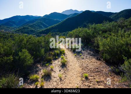 Atemberaubender Blick auf die Berge der hohen Wüste auf dem Pacific Crest Trail Stockfoto
