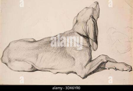 Studie über einen Labrador, c1840. Stockfoto