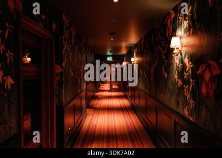 Langer Flur mit gemustertem Teppich und gedämpfter Beleuchtung in einem stimmungsvollen roten Gebäude bei Nacht Stockfoto