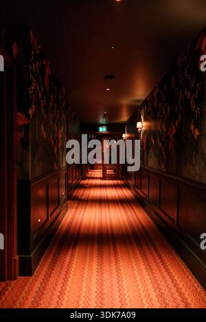 Langer Flur mit gemustertem Teppich und gedämpfter Beleuchtung in einem stimmungsvollen roten Gebäude bei Nacht Stockfoto