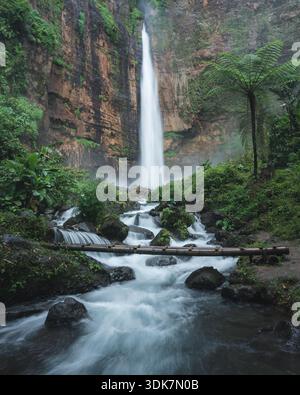 Blick auf einen mächtigen Wasserfall, der zerklüftete Klippen hinunterstürzt, umgeben von üppigem Grün und einer kleinen hölzernen Brücke über das rauschende Wasser, Malang, Jawa T Stockfoto