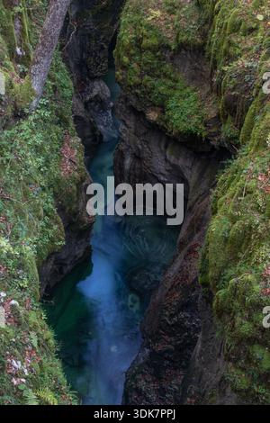 Der Blick auf einen kristallklaren Fluss schlängelt sich durch moosbedeckte Felsen und schafft einen lebhaften Kontrast zwischen dem kühlen Wasser und der üppigen Vegetation Bohinjsko Stockfoto