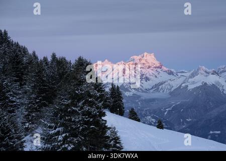 Blick auf die schneebedeckten Kiefern umrahmt eine aussicht, wo die aufgehende Sonne die zerklüfteten Gipfel in Morgins, Wallis, Schweiz, küsst. Stockfoto