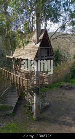Hölzernes Baumhaus um einen lebenden Baum gebaut, umgeben von Wald Natur und erhöhten Gehwegen. Stockfoto