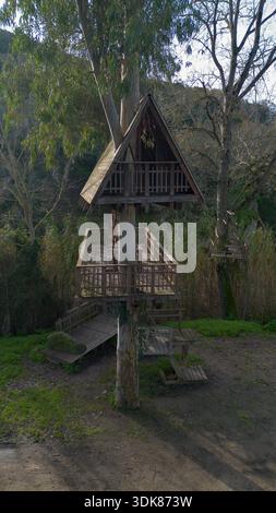 Hölzernes Baumhaus um einen lebenden Baum gebaut, umgeben von Wald Natur und erhöhten Gehwegen. Stockfoto