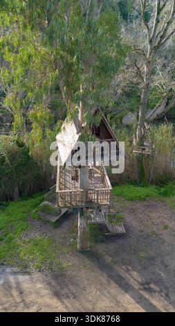 Hölzernes Baumhaus um einen lebenden Baum gebaut, umgeben von Wald Natur und erhöhten Gehwegen. Stockfoto