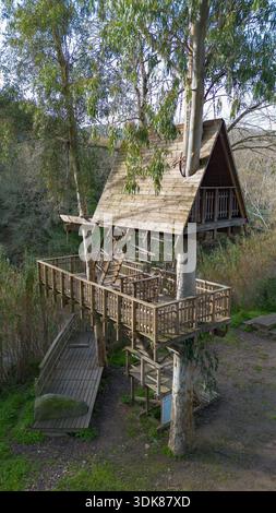 Hölzernes Baumhaus um einen lebenden Baum gebaut, umgeben von Wald Natur und erhöhten Gehwegen. Stockfoto