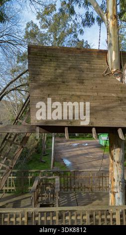Hölzernes Baumhaus um einen lebenden Baum gebaut, umgeben von Wald Natur und erhöhten Gehwegen. Stockfoto