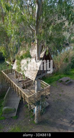 Hölzernes Baumhaus um einen lebenden Baum gebaut, umgeben von Wald Natur und erhöhten Gehwegen. Stockfoto