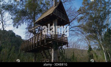 Hölzernes Baumhaus um einen lebenden Baum gebaut, umgeben von Wald Natur und erhöhten Gehwegen. Stockfoto