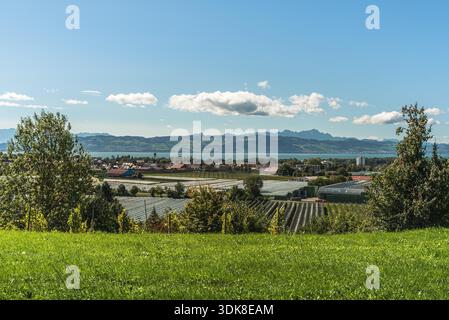 Panoramablick auf Obstplantagen und die Stadt Kressbronn mit Blick auf den Bodensee in Baden-Württemberg. Die Alpsteinberge mit der Saentis bilden eine alpine Kulisse am Horizont. Stockfoto