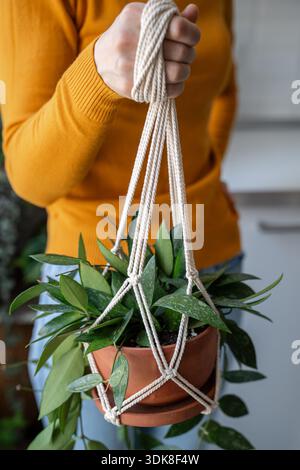 Handgemachte Baumwolle Macrame Pflanze Kleiderbgel hngend aus dem Fenster  im Wohnzimmer. Liebe fr Zimmerpflanzen, ein Hobby Stockfotografie - Alamy