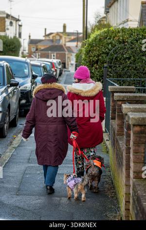 Zwei ältere Damen in warmer Winterkleidung, die zusammen mit zwei kleinen Hunden eine Wohnstraße entlang laufen. Stockfoto