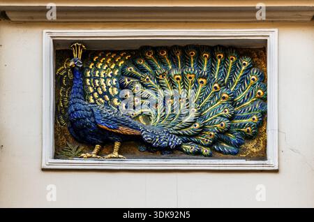 Pfau, Details der alten Stadtstraßen, Krakau, Polen Stockfoto