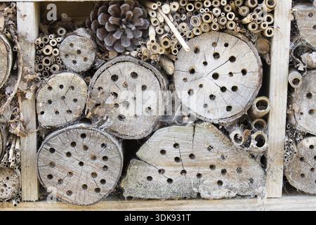 Bienen- oder Insektenhotel oder Insektenhaus an einer Backsteinmauer in einem Garten, England, Großbritannien Stockfoto