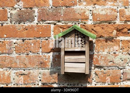 Bienen- oder Insektenhotel oder Insektenhaus an einer Backsteinmauer in einem Garten, England, Großbritannien Stockfoto