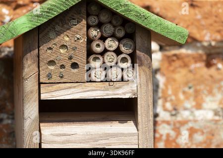 Bienen- oder Insektenhotel oder Insektenhaus an einer Backsteinmauer in einem Garten, England, Großbritannien Stockfoto