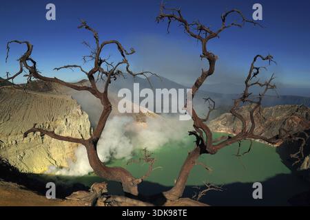 Asien, Indonesien, Java, Vulkane im Bromo-Semeru-Nationalpark, Ijen, Java, Indonesien Stockfoto