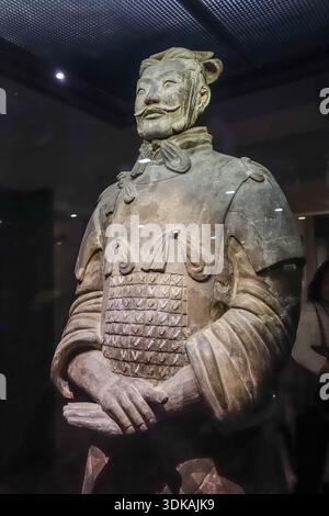Terrakotta-Krieger im Shaanxi History Museum in Xian, China Stockfoto