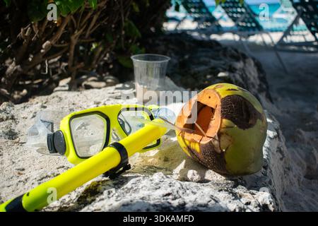 Schnorchelausrüstung und frische Kokosnuss an einem tropischen Strand Stockfoto