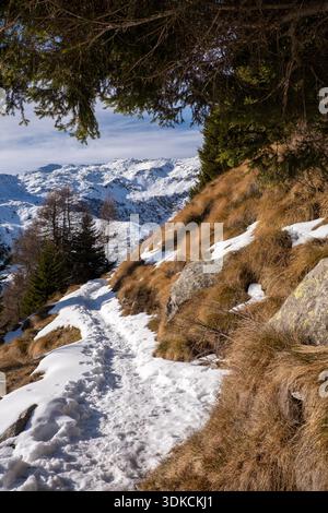 Schmale, verschneite Bergpfade, die sich durch immergrüne Bäume auf einem steilen Berghang schlängelt, mit schneebedeckten Gipfeln im Hintergrund, Winterlandschaft Stockfoto