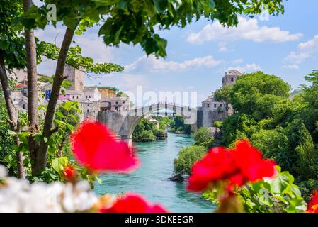 Mostar, Bosnien und Herzegowina – 2. Juni 2019: Blick auf die historische Stari Most Brücke über den Neretva Fluss, eingerahmt von Blumen und Grün in der alten Stockfoto
