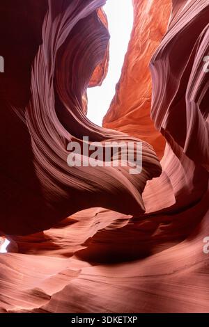 Die glatten, hügeligen Sandsteinwände des Antelope Canyon in Arizona leuchten mit warmem, orangefarbenem Licht, das von oben nach unten filtert. Dieser Slot Canyon, geschnitzt Stockfoto