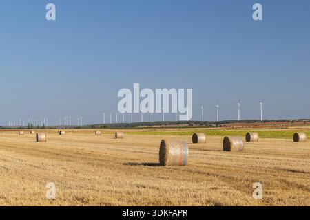 Heuballen liegen auf einem geernteten goldenen Feld mit Windturbinen im Hintergrund Stockfoto